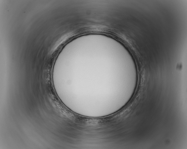 X0000114631211200911101229