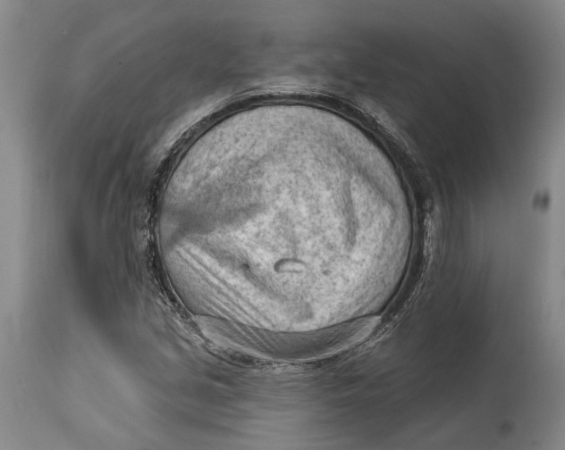 X0000114631213200911101229