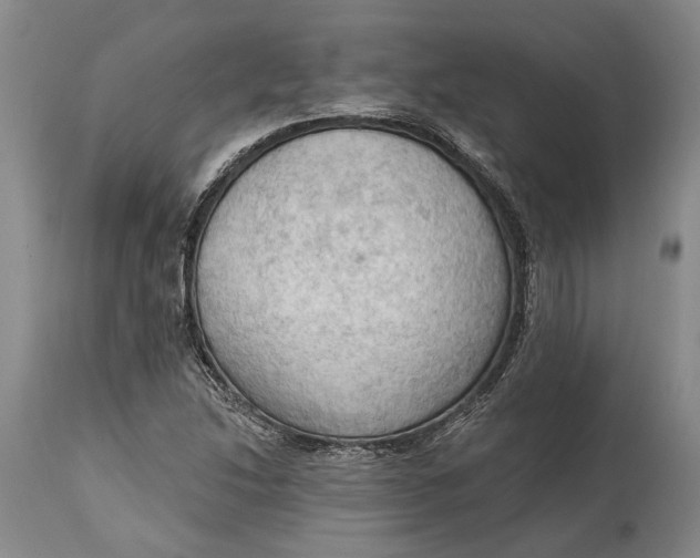 X0000114631214200911101229