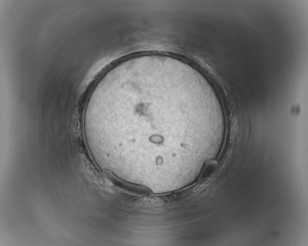 X0000114631215200911101229