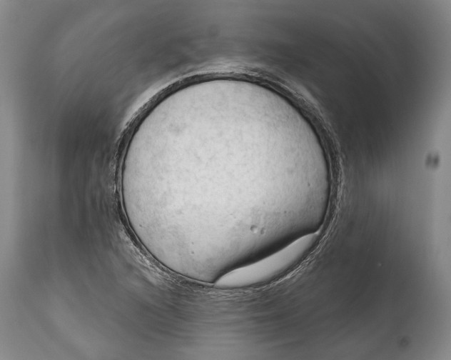 X0000114631216200911101229