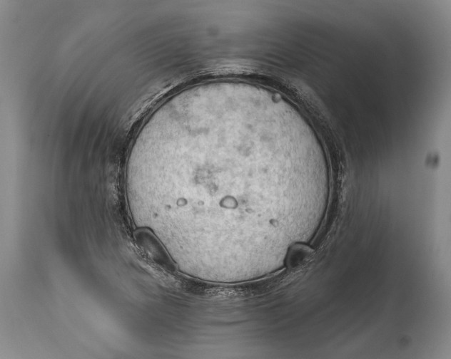 X0000114631217200911101229