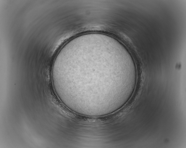 X0000114631218200911101229