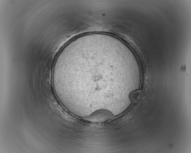 X0000114631220200911101229