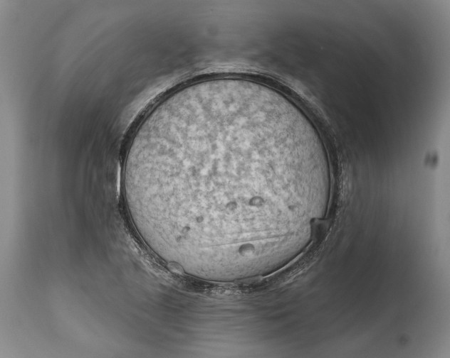 X0000114631221200911101229