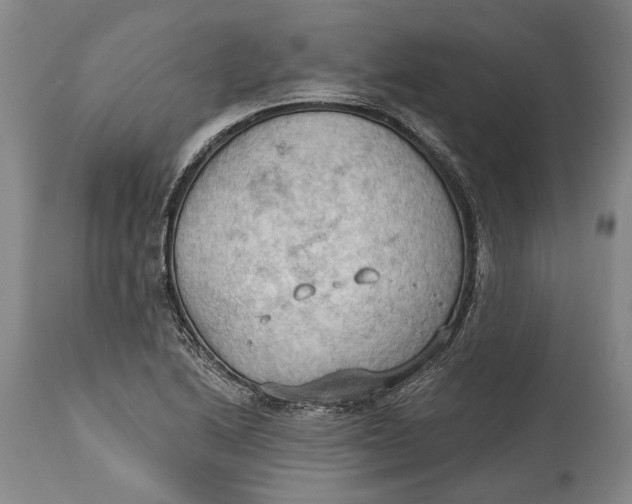 X0000114631222200911101229