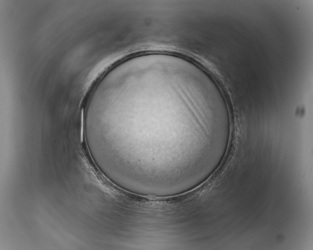 X0000114631223200911101229