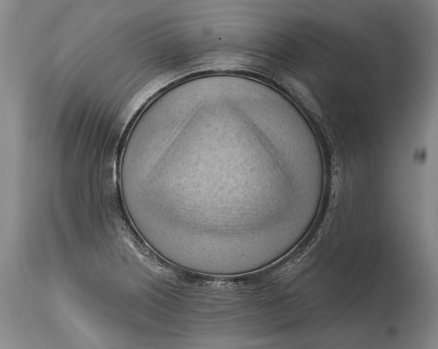 X0000114631226200911101229