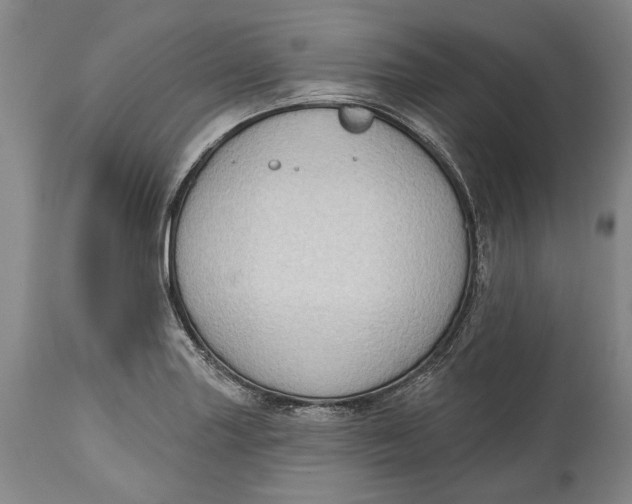 X0000114631227200911101229