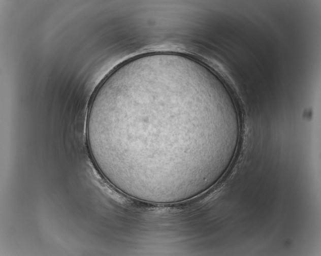 X0000114631228200911101229