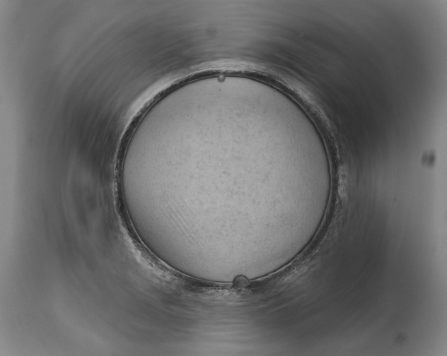 X0000114631229200911101229