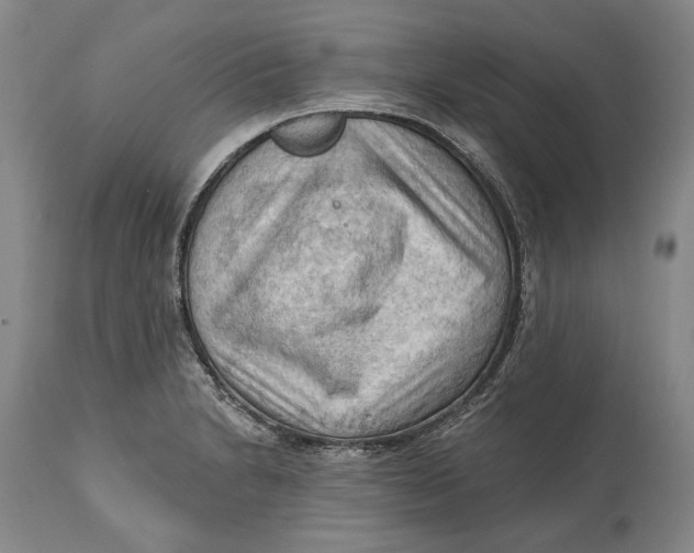 X0000114631230200911101229