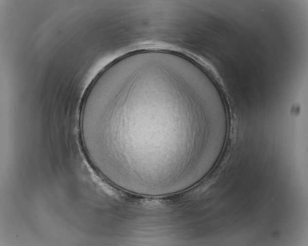 X0000114631231200911101229