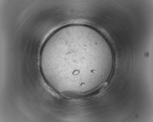 X0000114631232200911101229