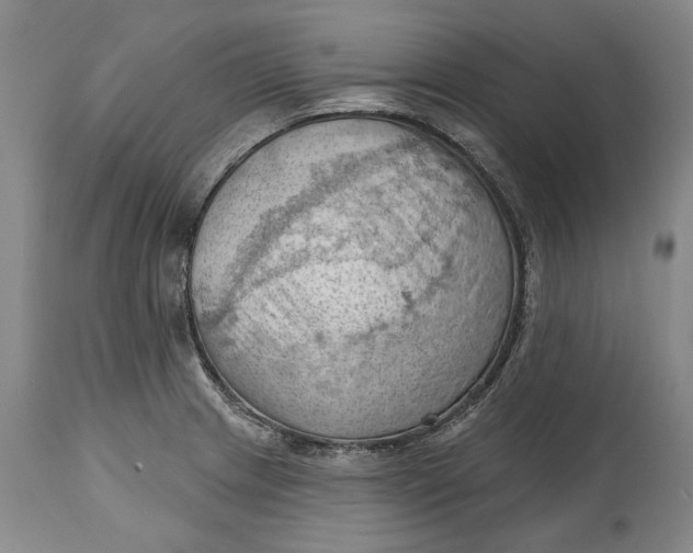 X0000114631233200911101229