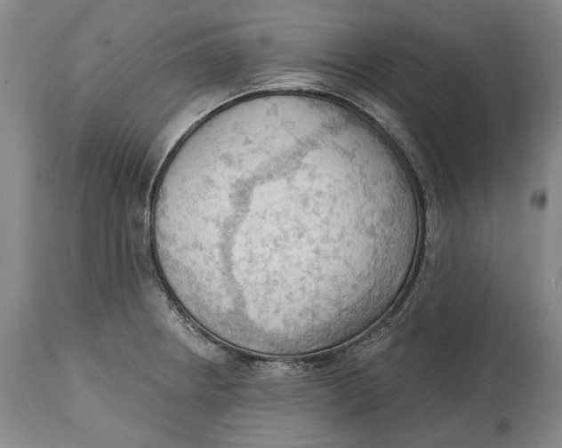 X0000114631234200911101229