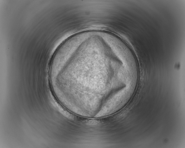 X0000114631235200911101229