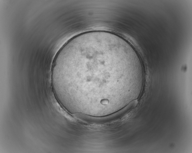 X0000114631236200911101229