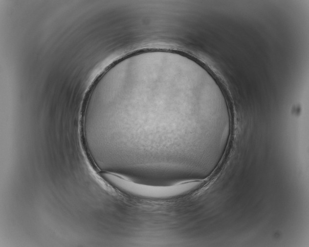 X0000114631237200911101229