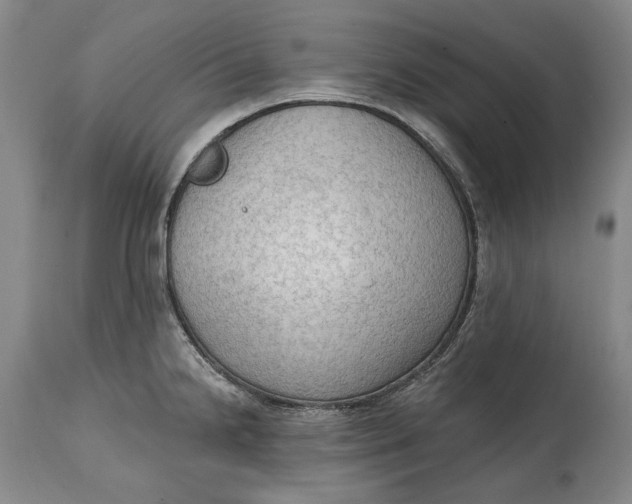 X0000114631238200911101229