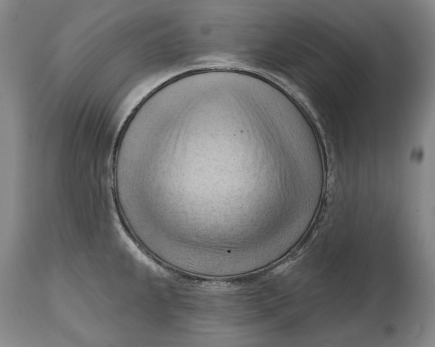 X0000114631239200911101229