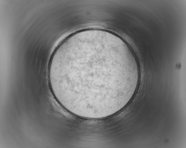 X0000114631240200911101229