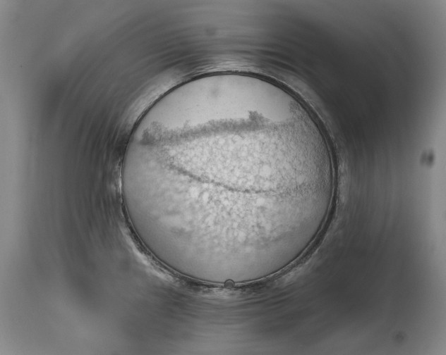 X0000114631241200911101229