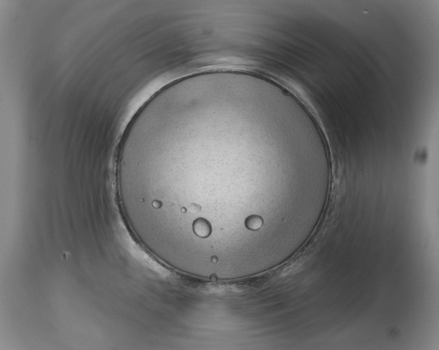 X0000114631243200911101229