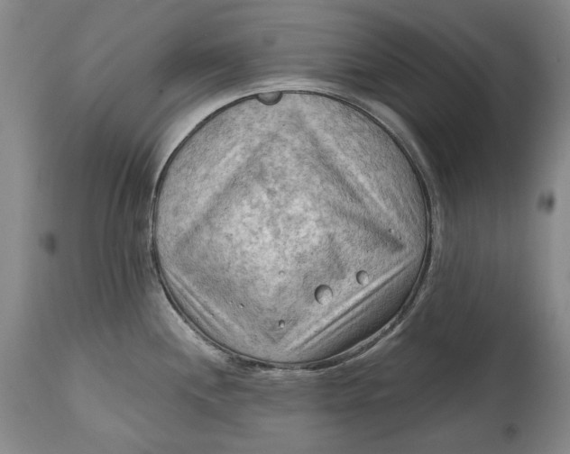 X0000114631244200911101229