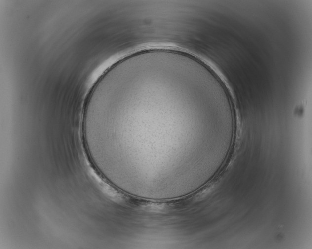 X0000114631245200911101229