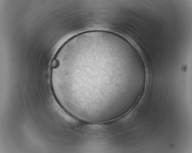 X0000114631246200911101229