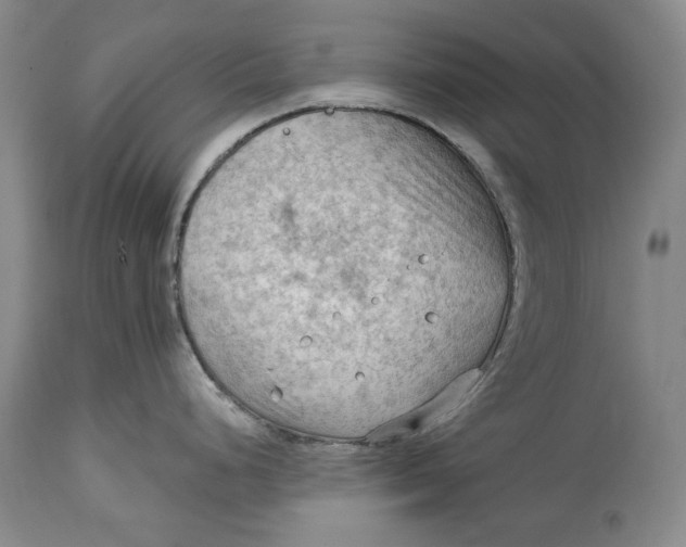 X0000114631248200911101230