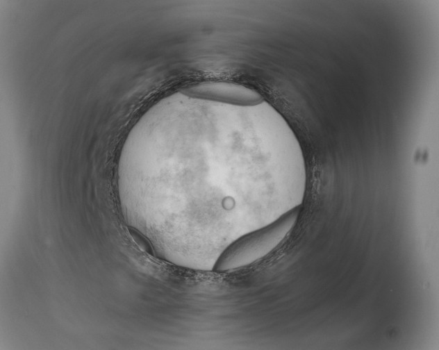 X0000114631249200911101229