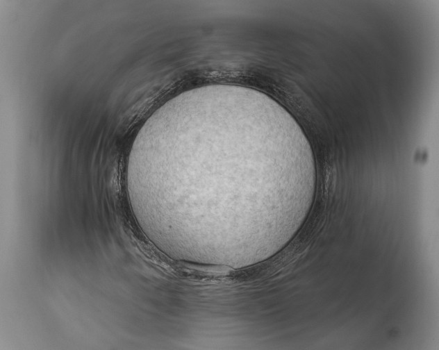 X0000114631250200911101229