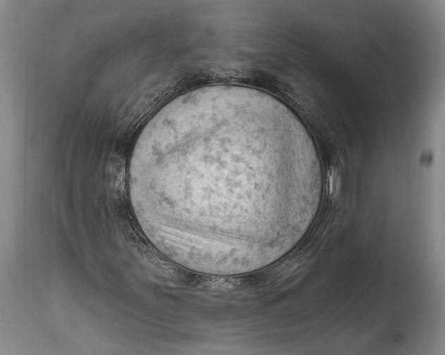 X0000114631251200911101229