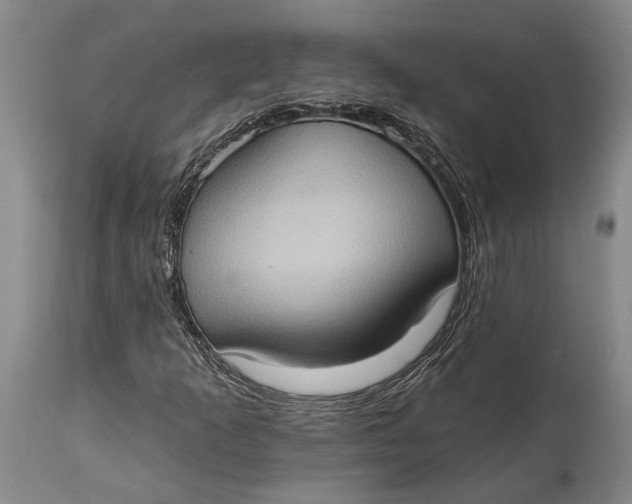 X0000114631253200911101229