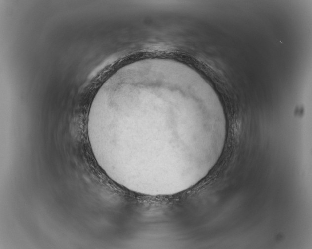 X0000114631254200911101229