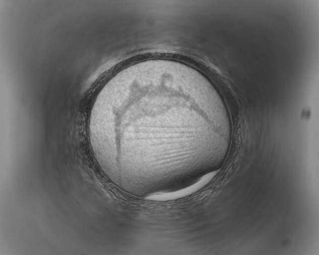 X0000114631255200911101229