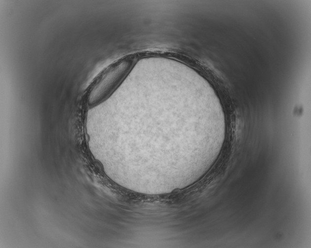 X0000114631256200911101229