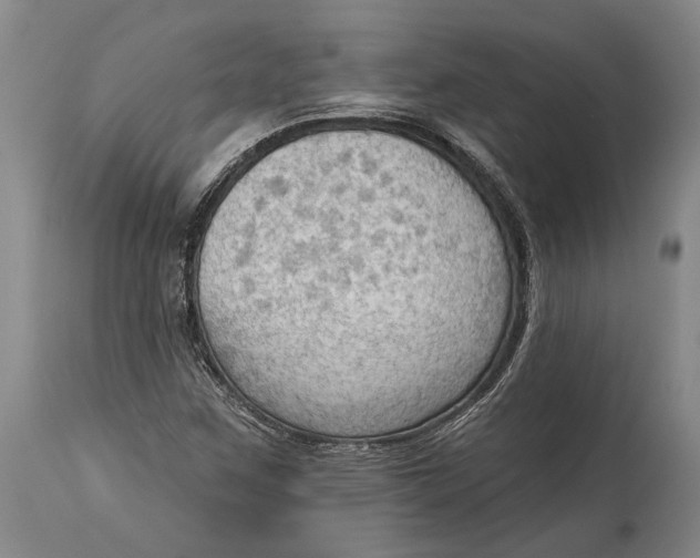 X0000114631259200911101229