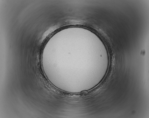 X0000114631261200911101229