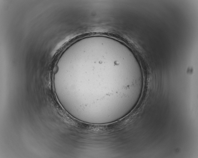 X0000114631262200911101228