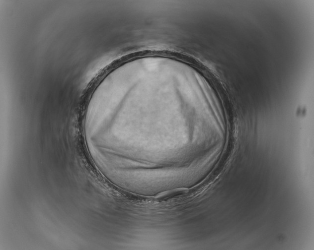 X0000114631263200911101228