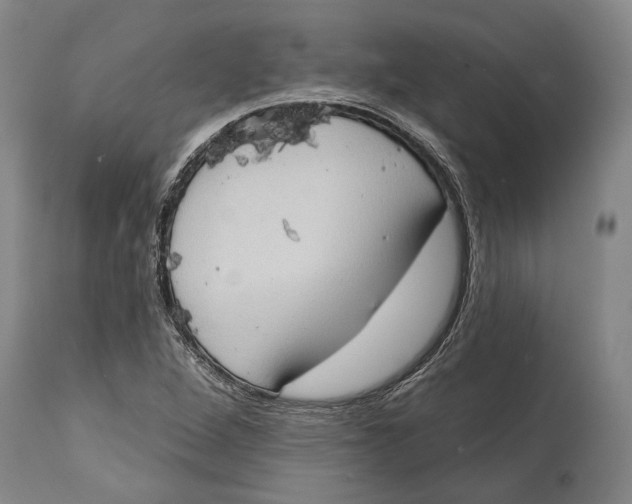 X0000114631264200911101228