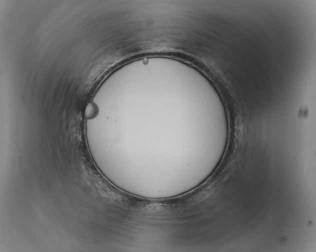 X0000114631265200911101228