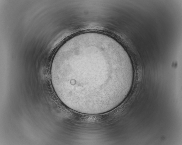 X0000114631266200911101228