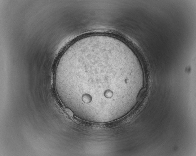 X0000114631267200911101228