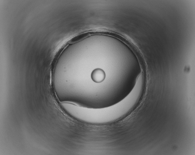 X0000114631269200911101228