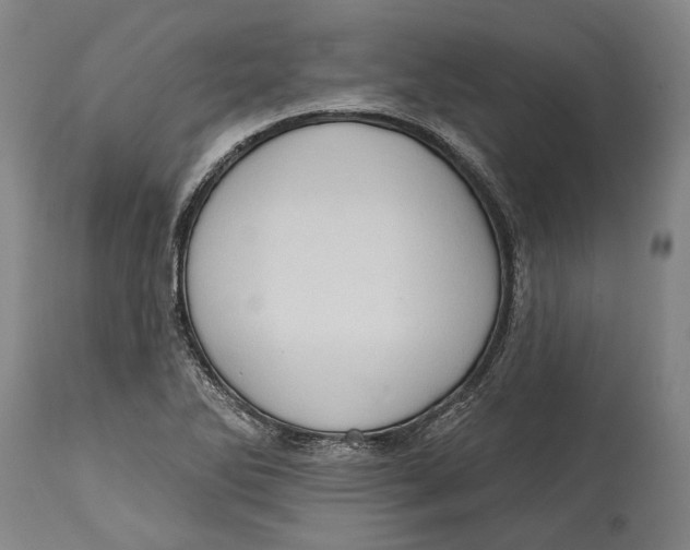 X0000114631270200911101228