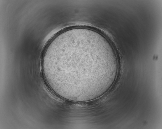 X0000114631271200911101228